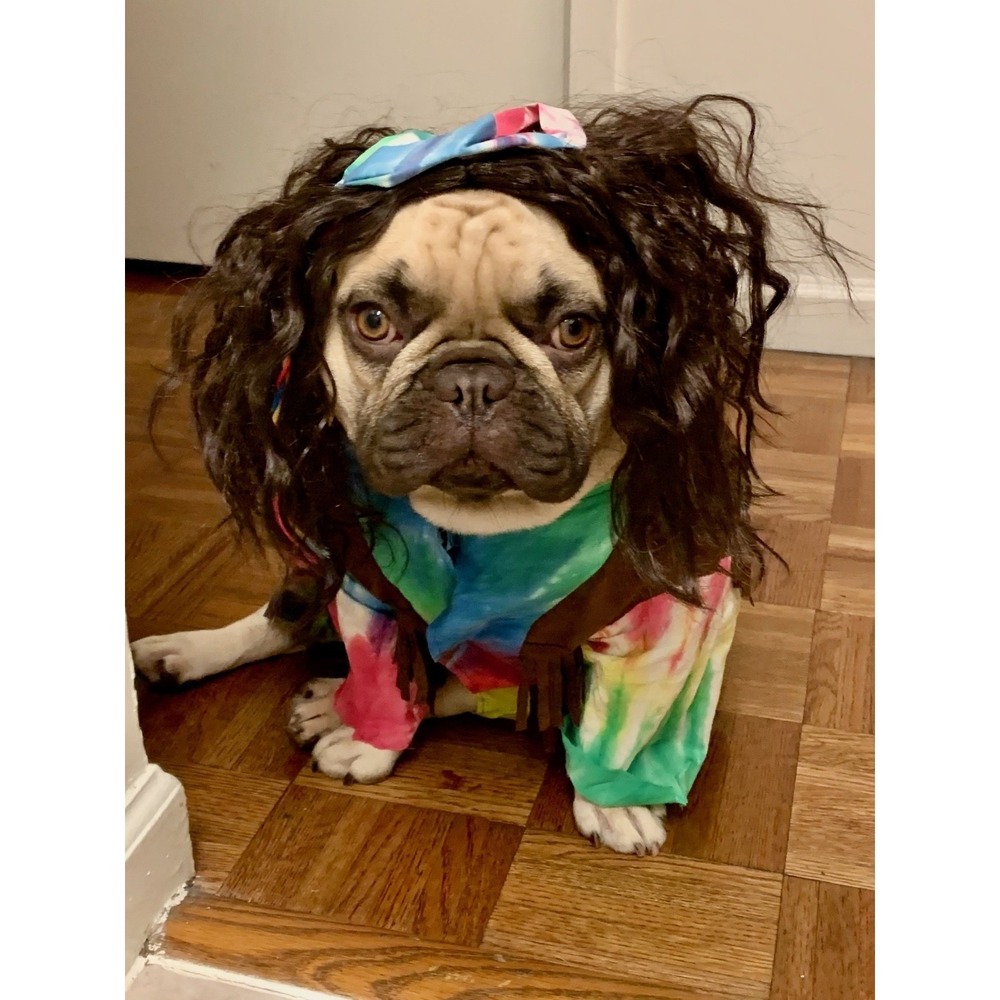Rubie's Pet Shop Hippie Dog Costume XL Tie Dye Wig Vest Peace Sign Halloween